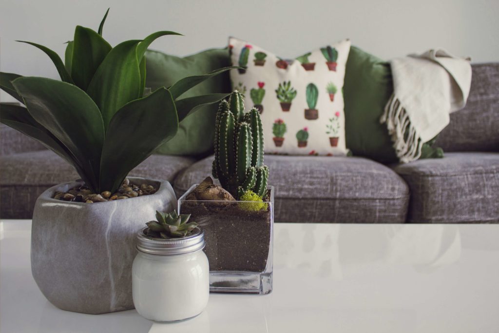 Feng Shui: 85 Easy Tips for Prosperity and Happiness