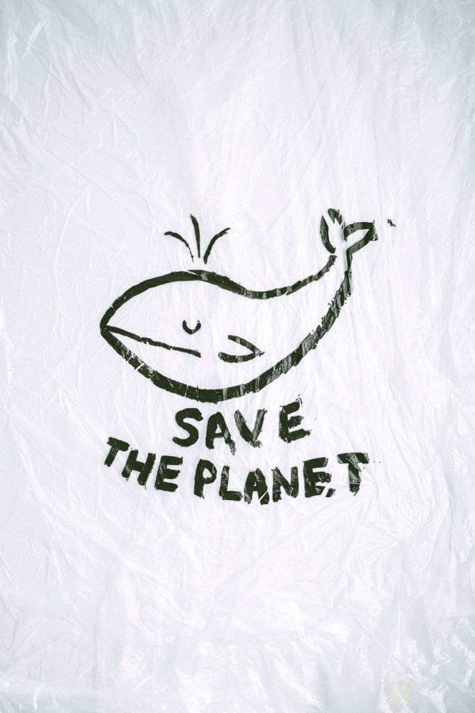 How to Save the Planet? (15 Simple Things You Can Do to Help Protect the Earth)