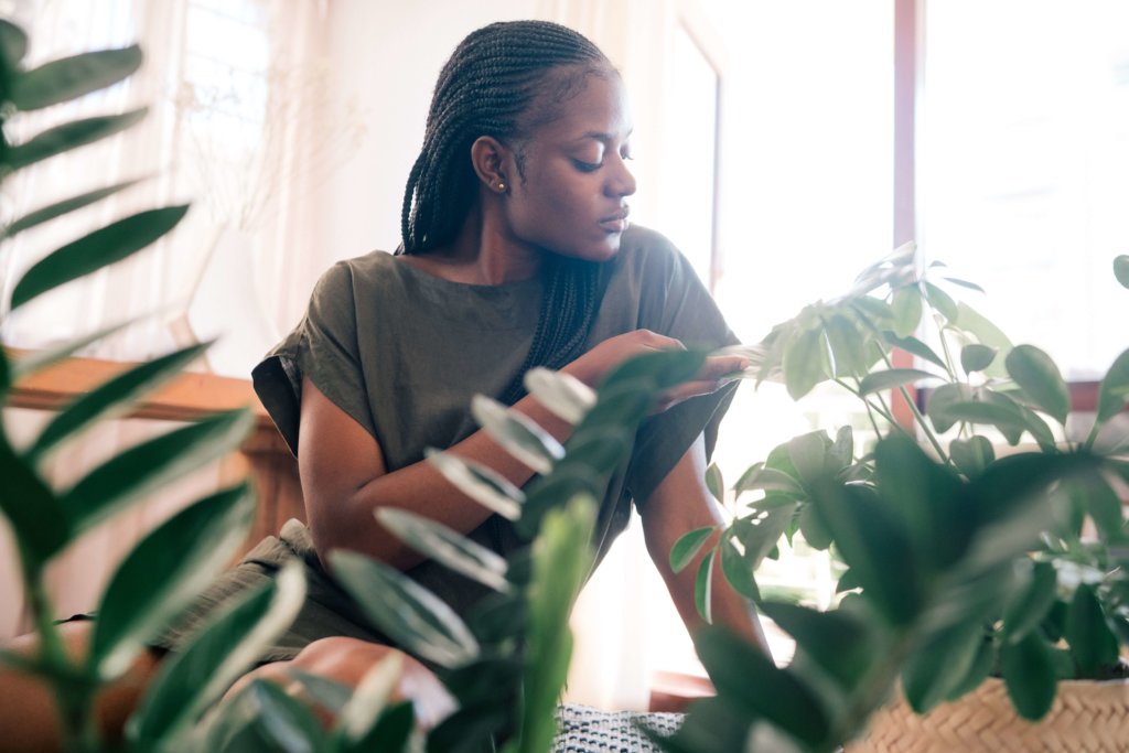How Indoor Plants Make You Feel Better? (11 Healing Powers of Plants)