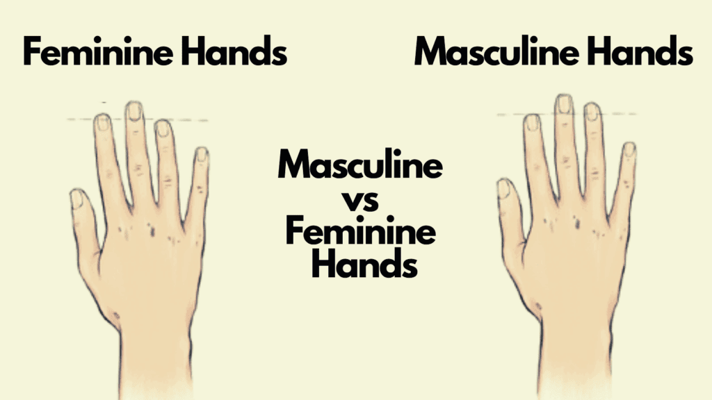 Masculine Vs Feminine Hands