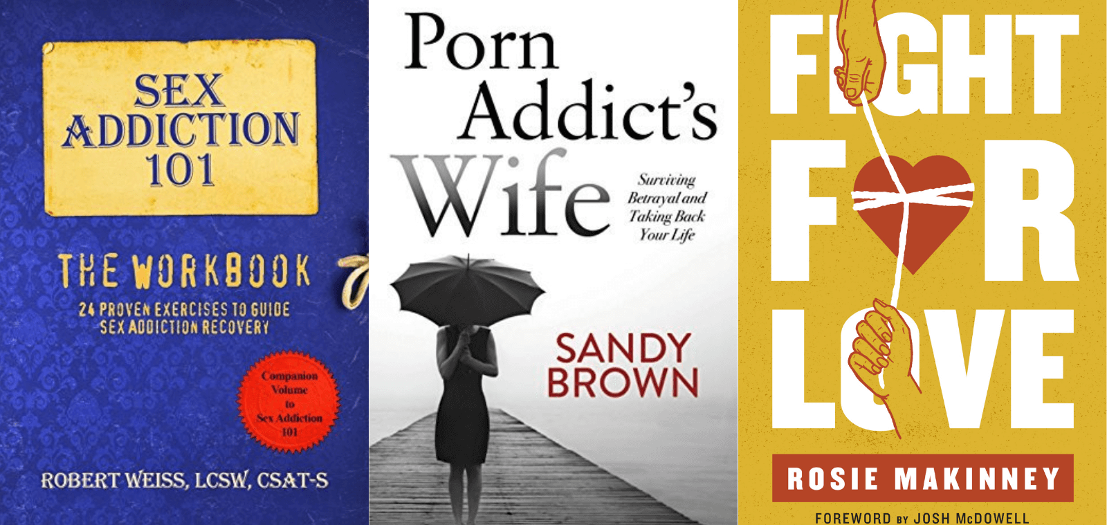 Pornography Book Covers - Best 10 Books On Porn Addiction